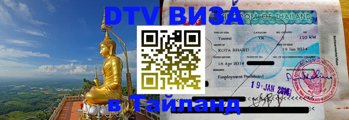 Оформление DTV визы под ключ: стоимость и тарифы, только загранпаспорт - Петрозаводск  20.11.2025 